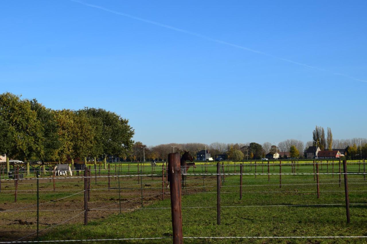 B&B Houten Huis ナザレト エクステリア 写真
